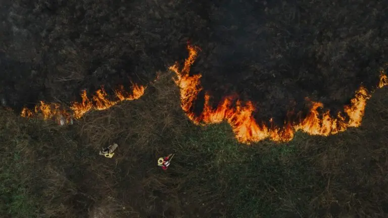 Amazon rainforest fires in Amazonas, Brazil, as firefighters tackle blazes and smoke worsens air pollution in Manaus.