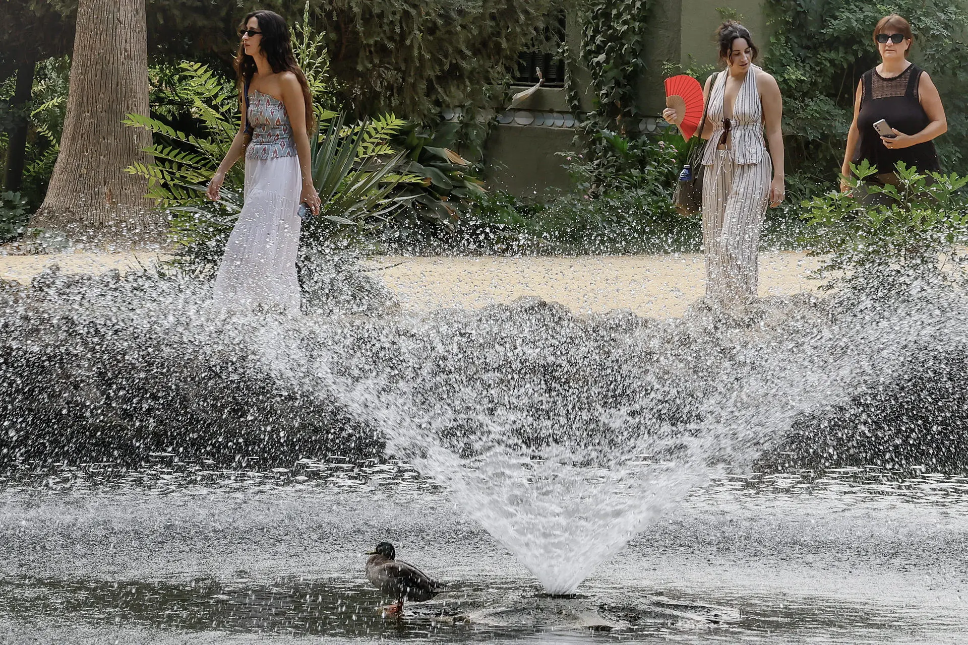 The number of deaths, attributable to high temperatures, has surpassed the figures for the two deadliest summers since 2015. Photo: EFE.