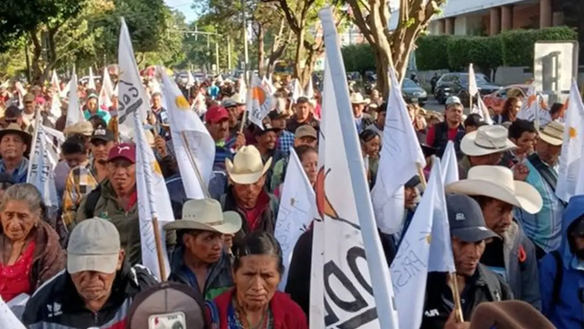 Guatemalan Farmer Organizations to Hold Mass Demonstrations