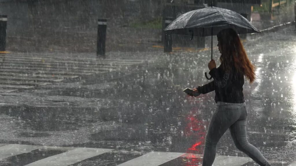 Between Friday and the weekend, 7.5 to 15 centimeters of rain are expected on the north coast of the Gulf of Mexico in the United States, from southeastern Louisiana to northwestern Florida. Photo: Getty images.