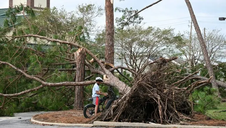 Hurricane Isaias damage, fallen trees and power outages in Florida and Alabama.