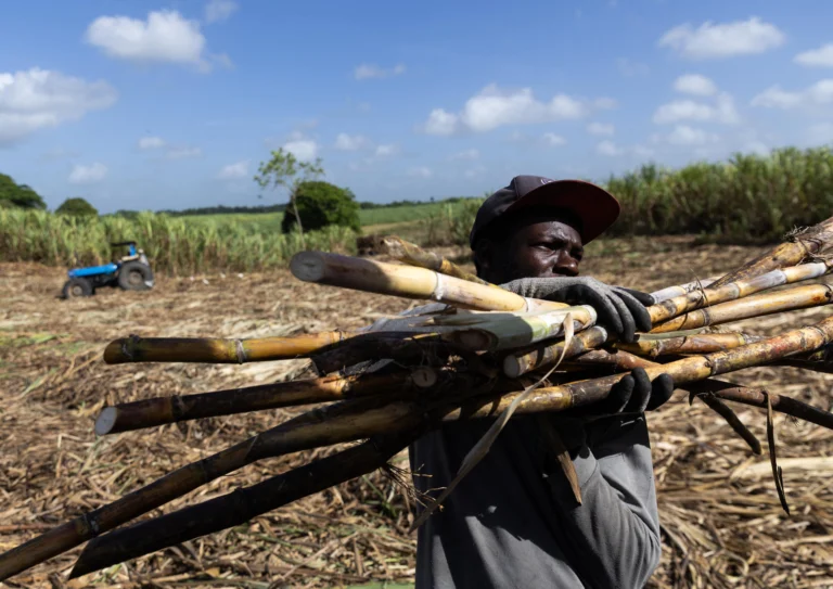 Dominican Republic rice farmers protest changes to rice import tariffs in Nagua.