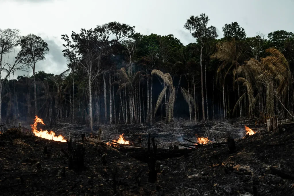 The region faces an increase in forest fires during September 2026, driven by drought associated with the El Niño phenomenon. Photo: EFE.